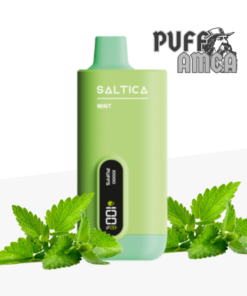saltica 10000 mint puff pufamca.net.tr