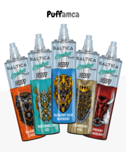 saltica 12000 puff pufamca.net.tr