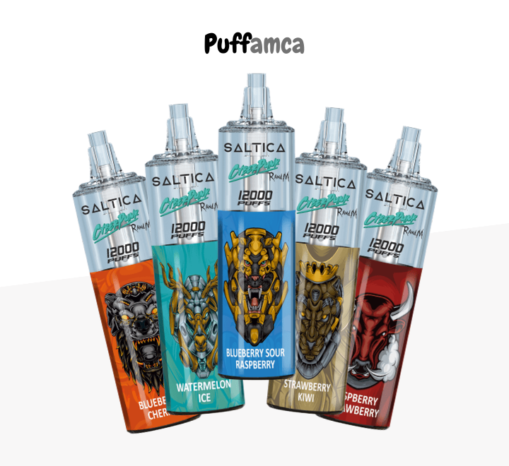 saltica 12000 puff pufamca.net.tr