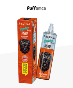 saltica 12000 puff pufamca.net.tr