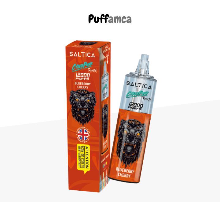 saltica 12000 puff pufamca.net.tr