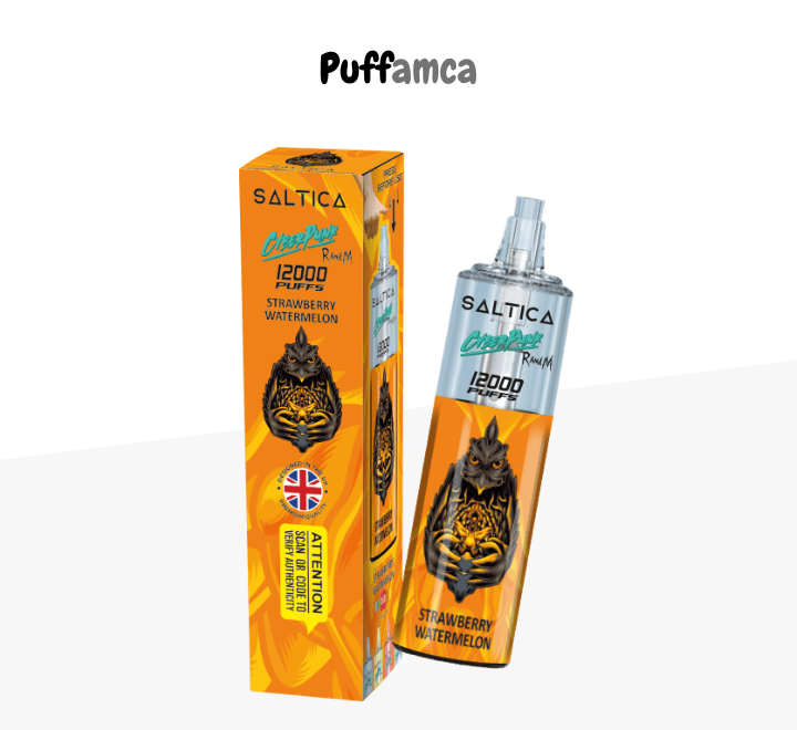 saltica 12000 puff pufamca.net.tr