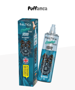 saltica 12000 puff pufamca.net.tr