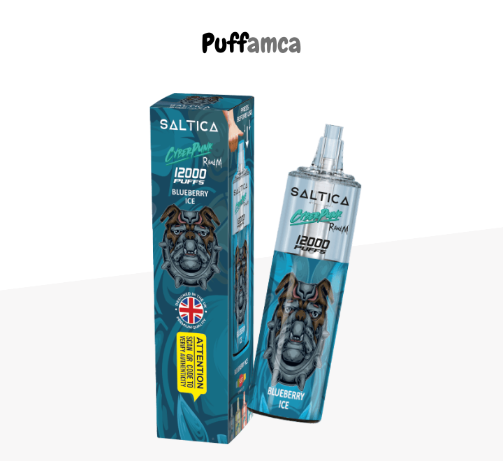 saltica 12000 puff pufamca.net.tr