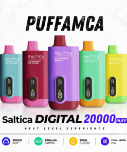 Saltica 20000 Digital Puff